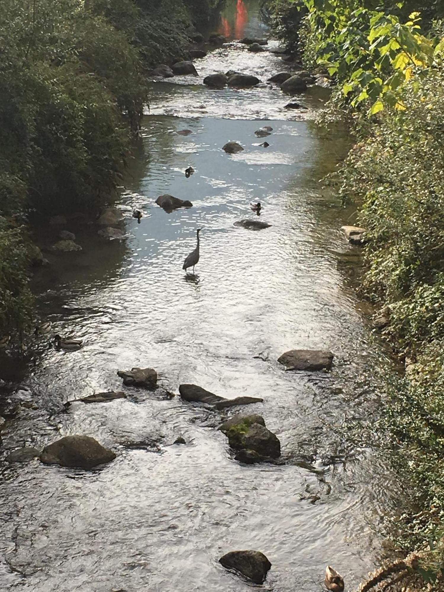 River House 포를레차 외부 사진